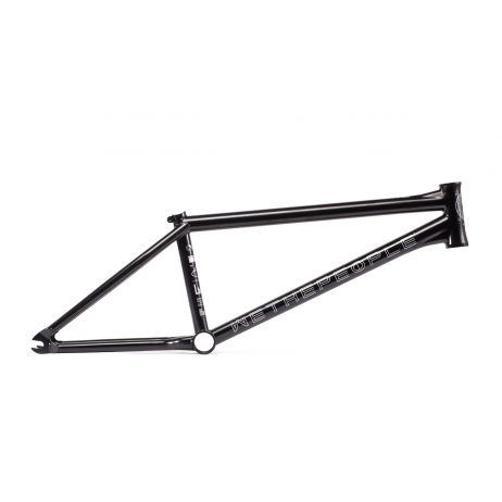 wethepeople network frame