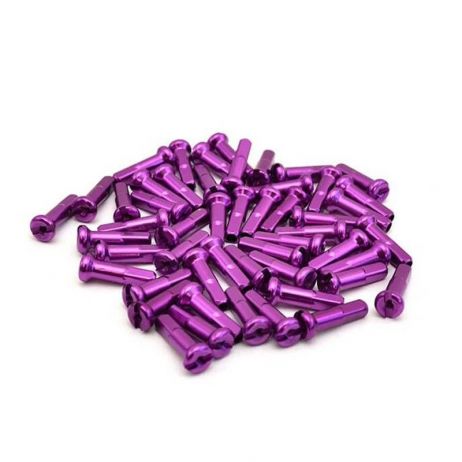 PACK DE TETES DE RAYONS RANT PURPLE (X40)