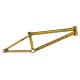 WETHEPEOPLE UTOPIA HYBRID TRANS GOLD FRAME