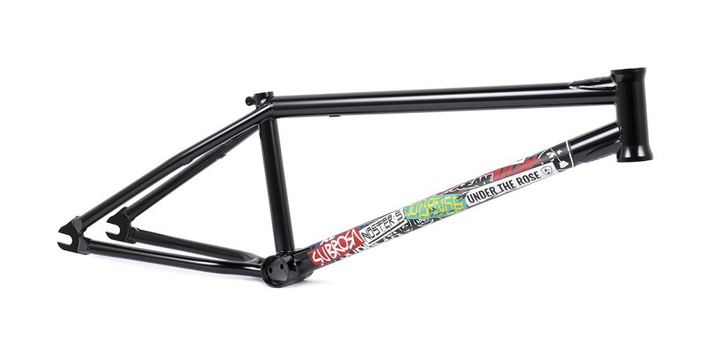raleigh rxs single speed