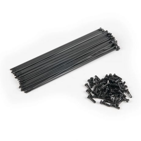 RAYONS ECLAT PLAIN GAUGE X40 BLACK