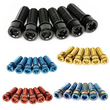 SALT STEM BOLTS 